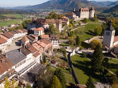 Gruyères & Lavaux Day Trip from Geneva: Chocolate, Cheese & Wine
