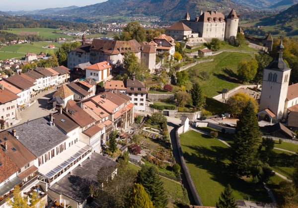 Gruyères & Lavaux Day Trip from Geneva: Chocolate, Cheese & Wine