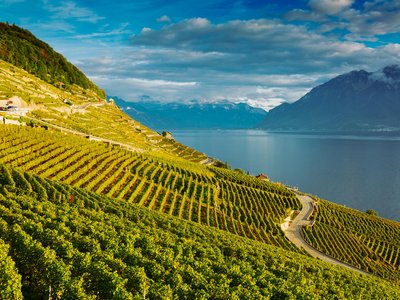 Lavaux Wine and Vineyard Experience with Boat Cruise